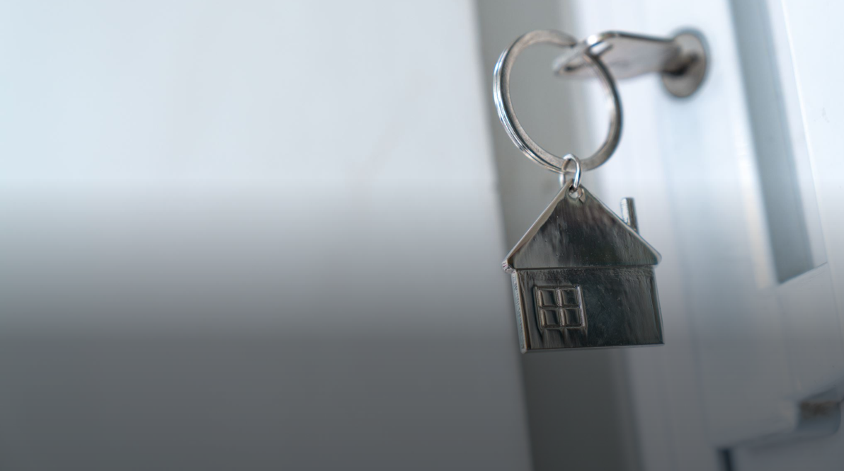 Letting Services